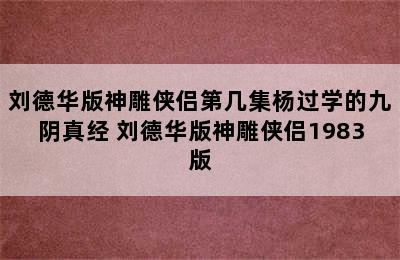 刘德华版神雕侠侣第几集杨过学的九阴真经 刘德华版神雕侠侣1983版